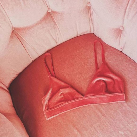 GLASSONS Pink Red Maroon Velvet Bra Bralette NWOT - Picture 4 of 8